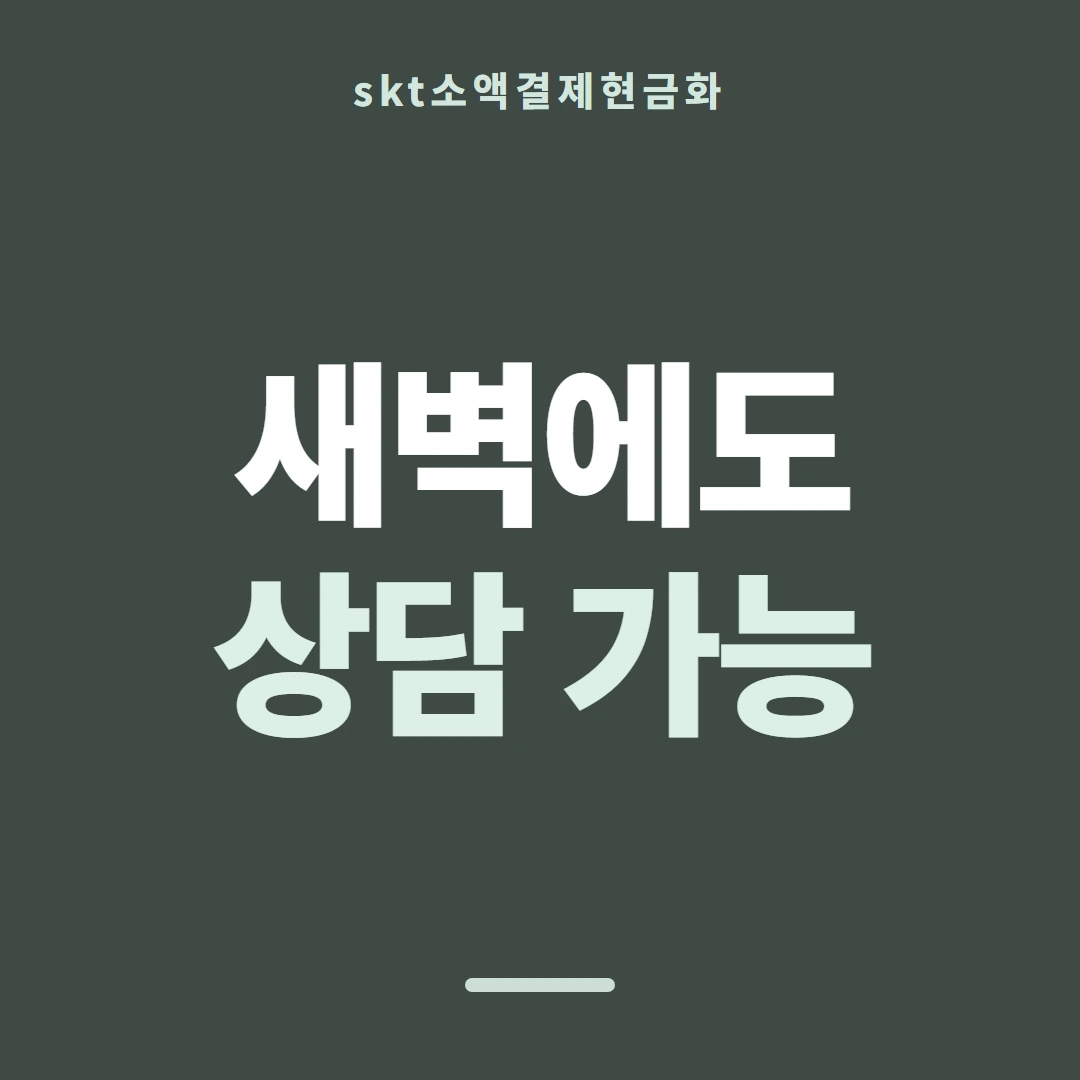 품티켓 SKT 소액결제 현금화 지난 기록 보기 안내 이미지