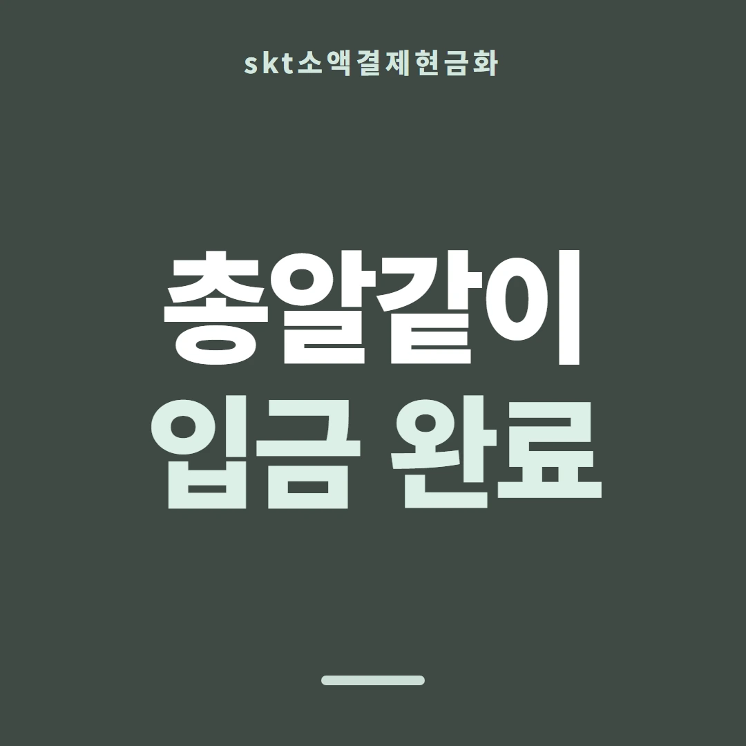 품티켓 SKT 소액결제 현금화 차단과 복구 안내 이미지