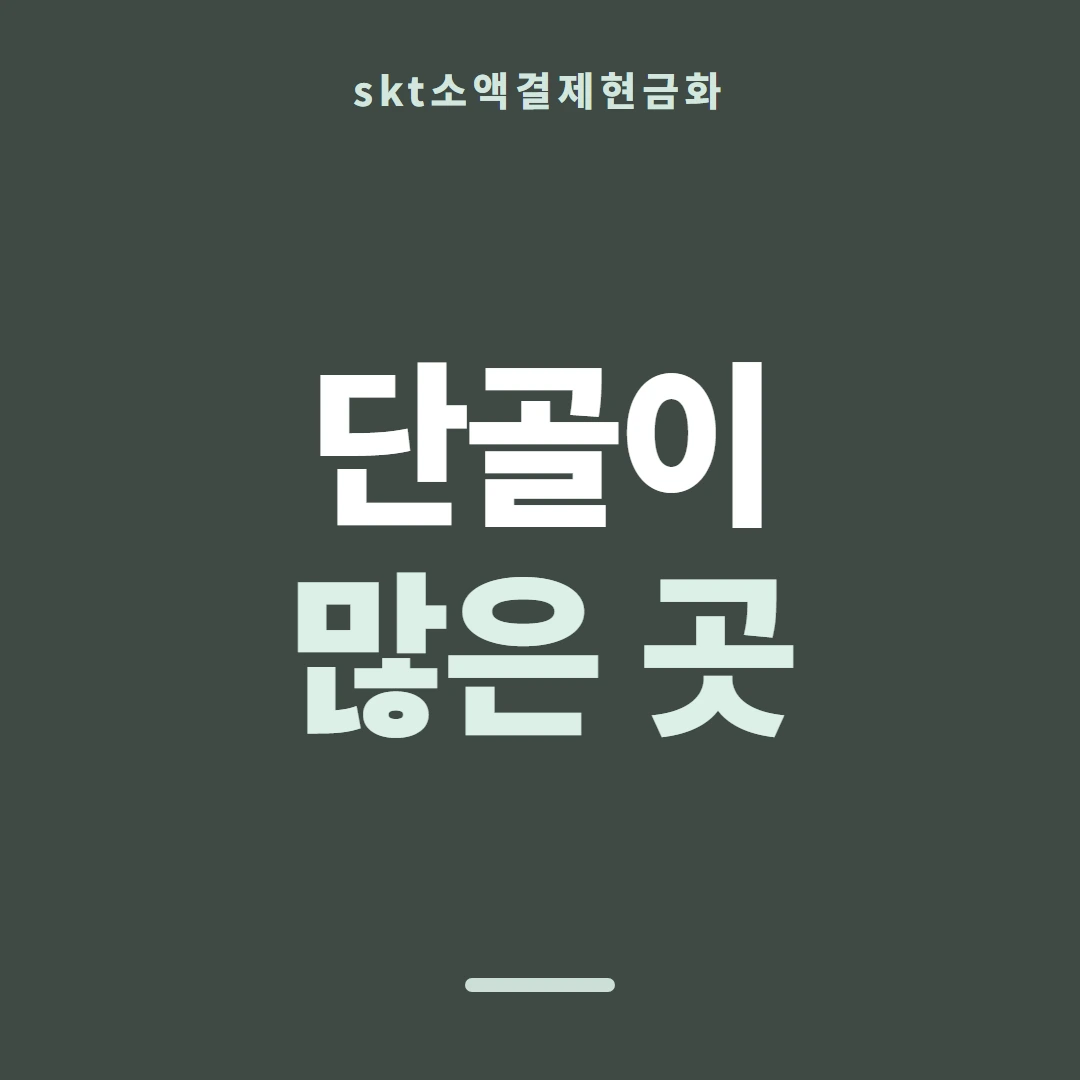 품티켓 SKT 소액결제 현금화 무엇을 믿을까 안내 이미지